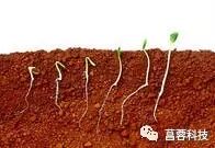 毛囊健康，头发头皮才会健康！