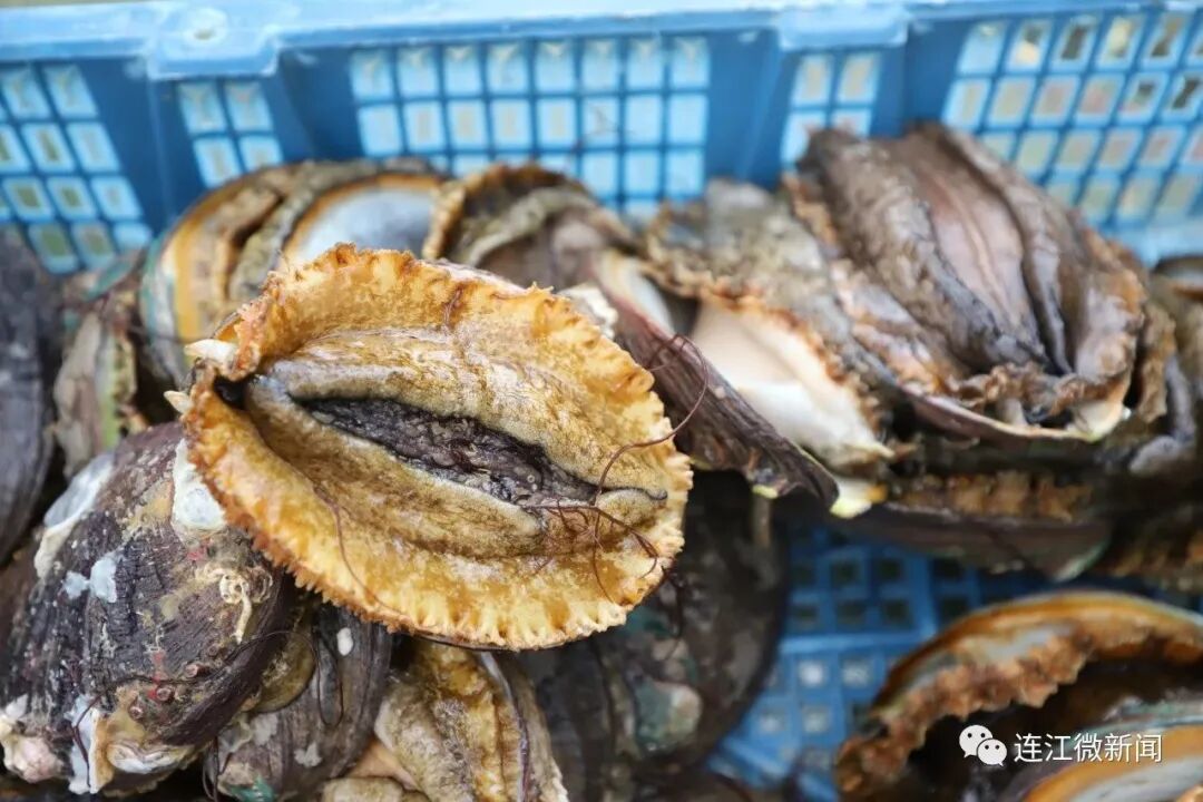 287万元！连江获中央资金支持！