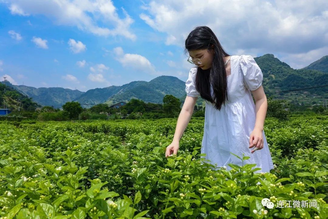 香！香！香！连江这里花开了！