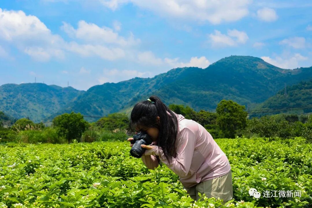 香！香！香！连江这里花开了！