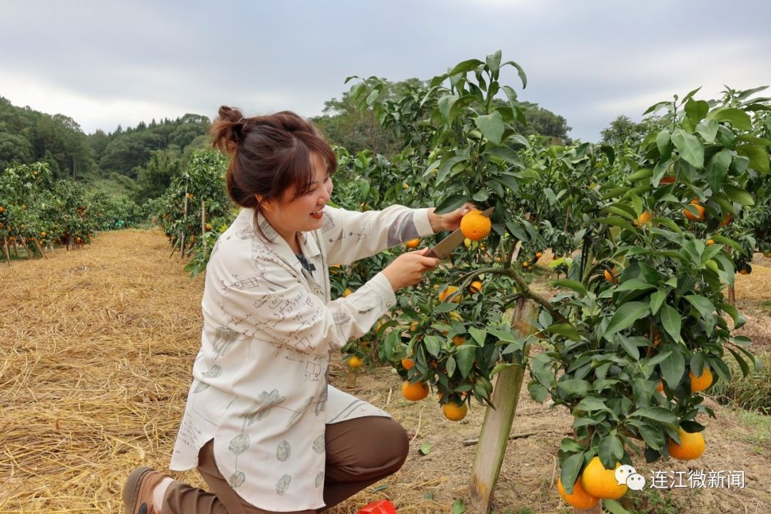 C“味”出道！连江这里甜蜜爆表！