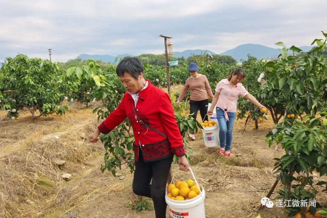 C“味”出道！连江这里甜蜜爆表！