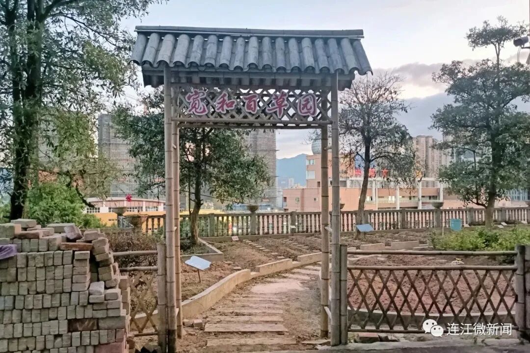 针灸、拔罐……连江这群学生直接上手！