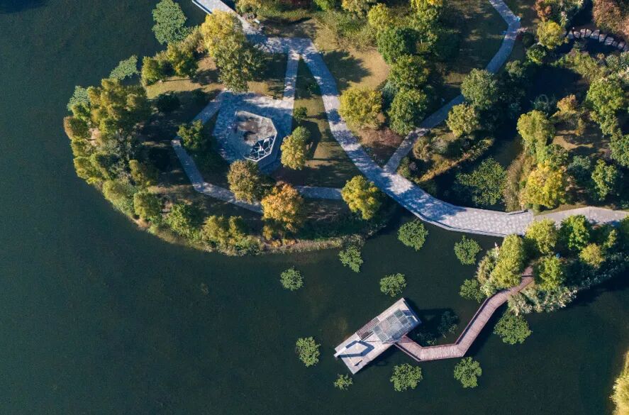 DJI_20241108082612_0031_D.jpg
