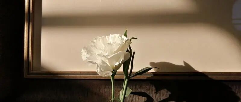 【急招】400元/小时，无需经验，朗读书中内容即可，在家可做~