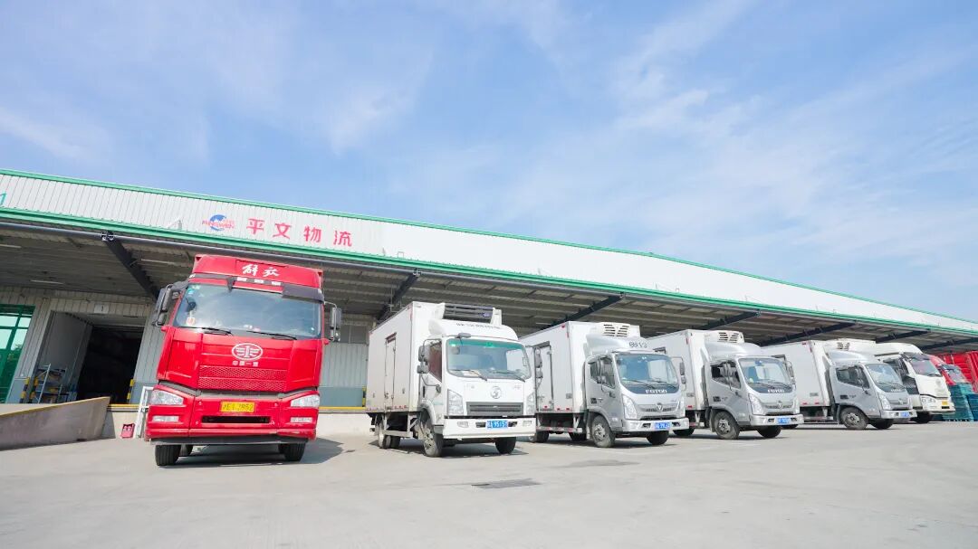 新势力爆发|数字化赋能冷链物流进入新时代