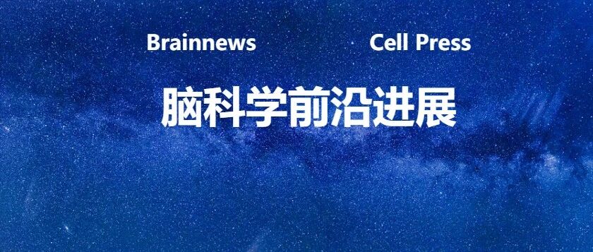 Cell Metabolism：受肥胖和糖尿病影响最强烈的脑区是哪里？复旦大学团队合作解密关键脑区