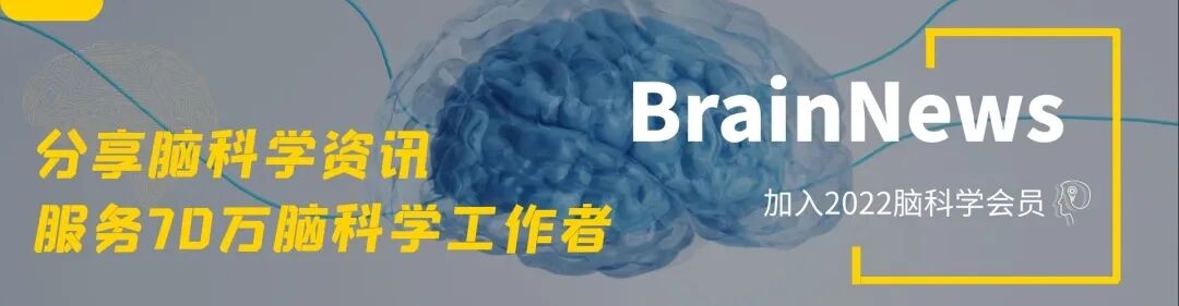 小鼠脑模具怎么用神经科学必备精确取材神器——大小鼠脑模具_https://www.jmylbn.com_新闻资讯_第1张