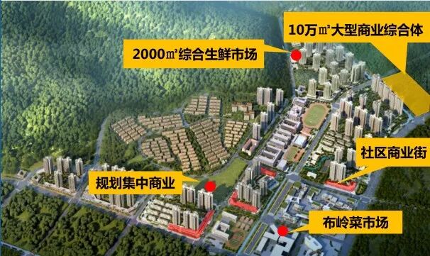 黄埔实地常春藤交楼有新消息！