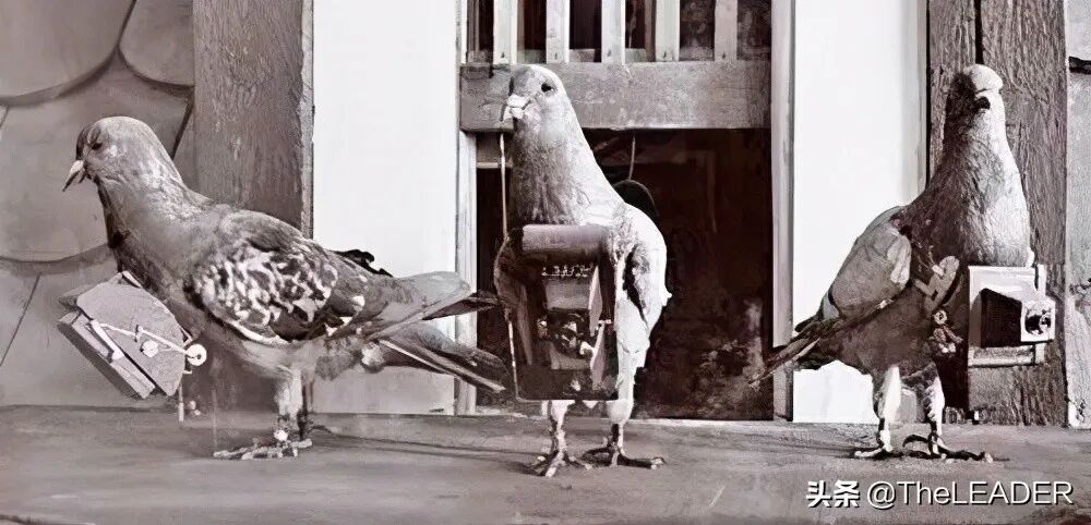 没有无人机的年代，怎么做到航拍的图18