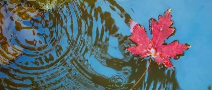 别把善良给错了人