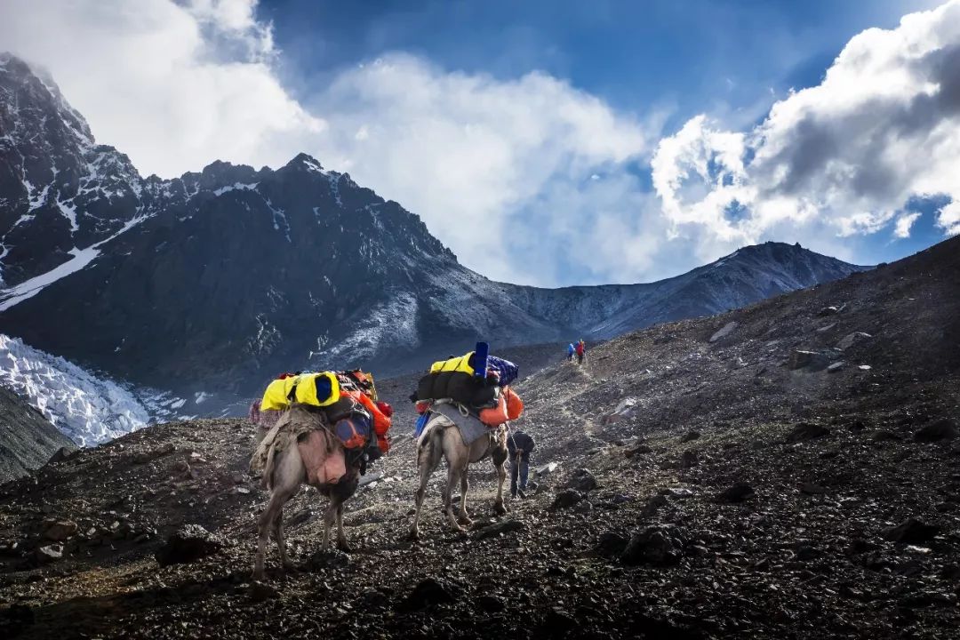 神山、冰川、雪蓮……這可能是風景最全的新疆徒步線路 歷史 第22張