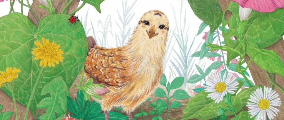 【睡前故事·绘本伴童年】妈妈你在哪儿？