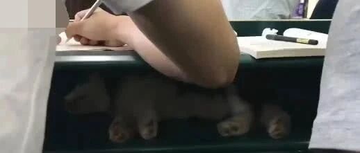 26所大学“自封”世界一流，打赢中美科技战真靠得住吗？ | 假期阅读