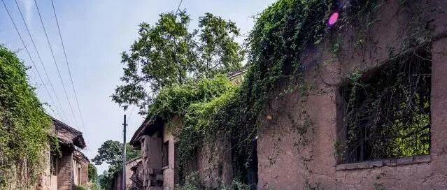 王曲杜曲韦曲，这块地方盛满了半个大唐长安的故事