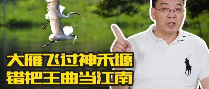 大雁飞过神禾塬 错把王曲当江南