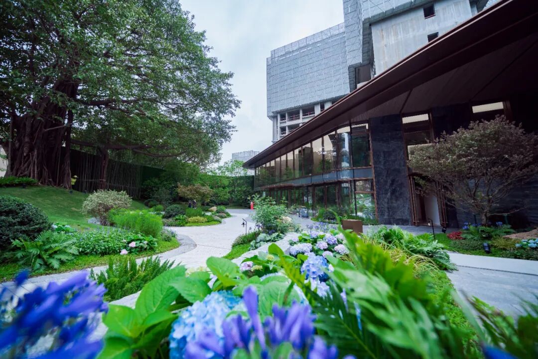 2023年上半年，广州*的几个楼盘！