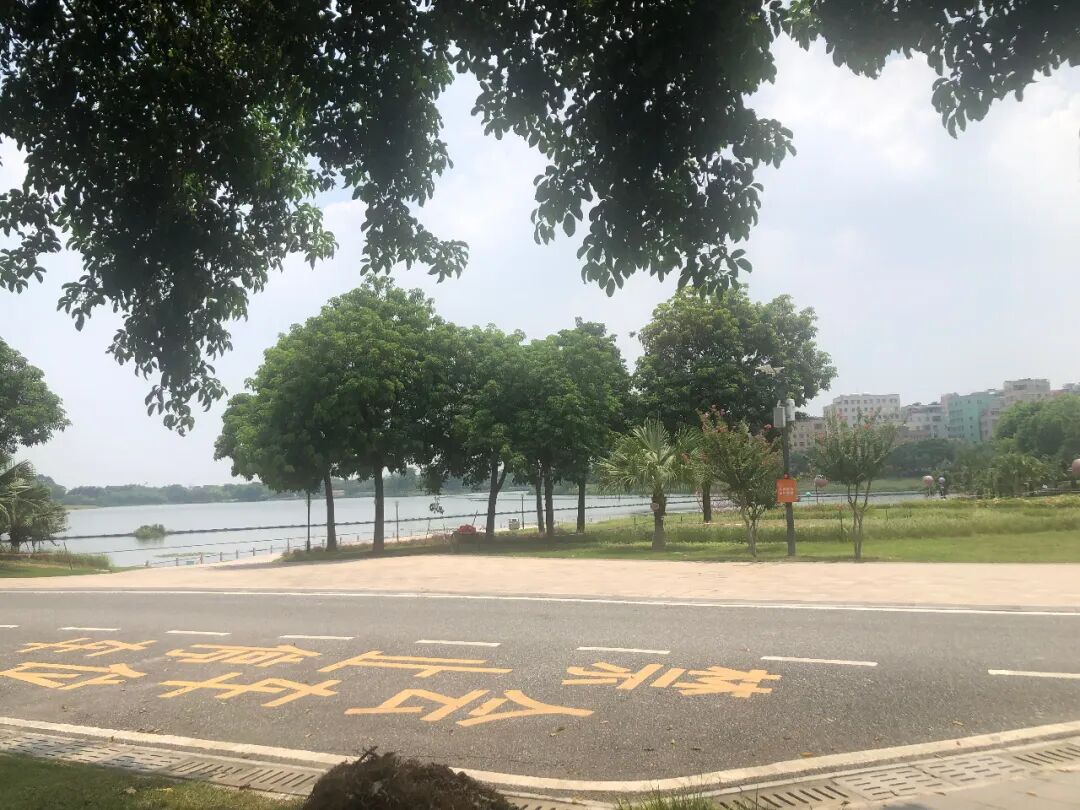 白云亭岗站：越秀天悦云湖、品实云湖花城该怎么样选？