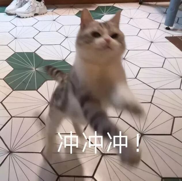 ps2021滚轮缩放_ps放大缩小滚轮失效_ps怎么用滚轮放大缩小图片