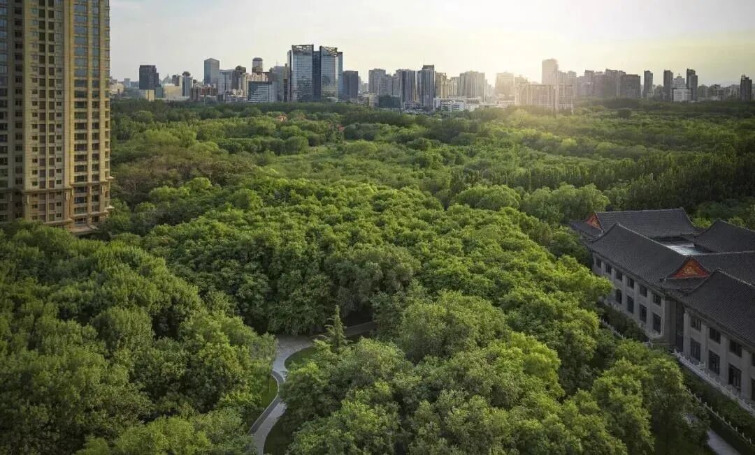 天河金融城板块新房，合生缦云广州最新价格和户型