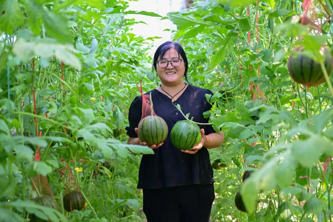 是时候了!2024初夏,洛阳采摘正当时!