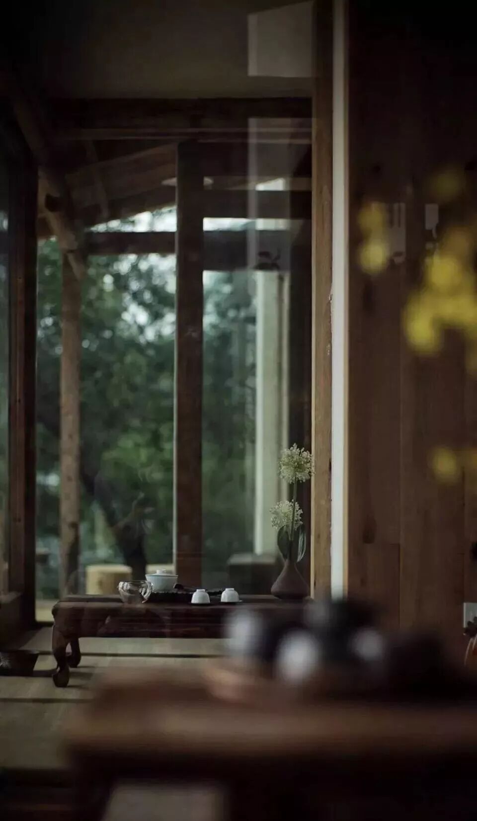 春三月，一杯春茶清净心。