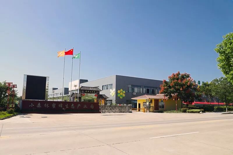 5.20世界蜜蜂日小森林创立35周年