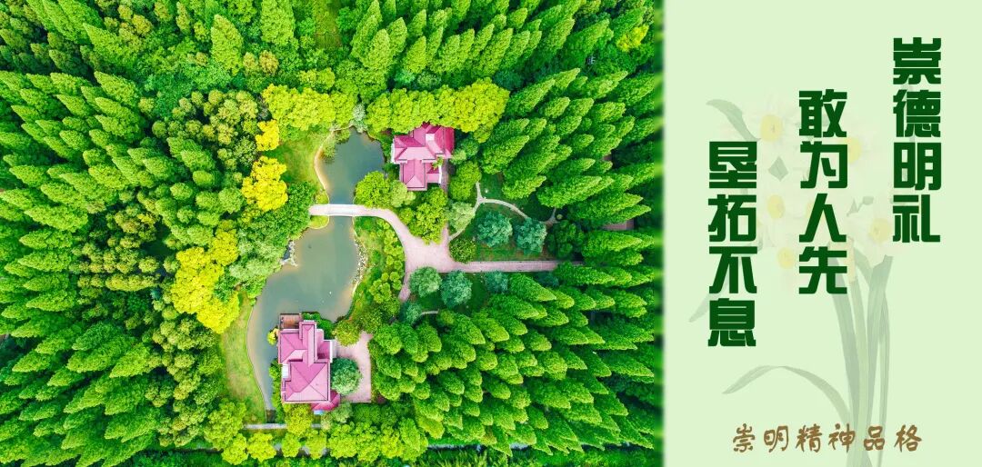 《崇明区区级城市维护项目管理办法》正式出台！