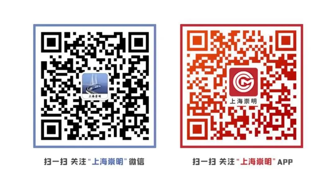 《崇明区区级城市维护项目管理办法》正式出台！