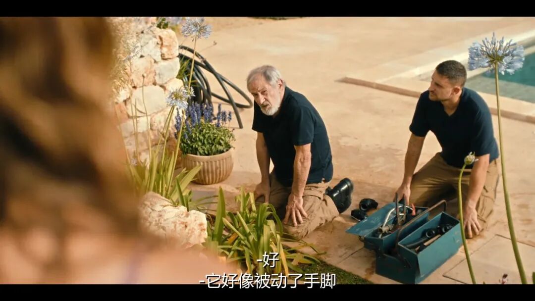 顛覆感官的德國網飛電影《危島墜愛》，瘋狂的姐妹花，背後巨大的陰謀！