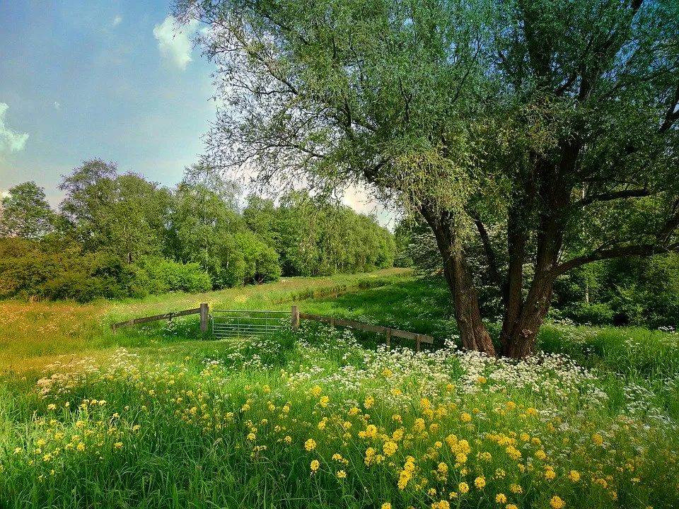 python创建文件并写入内容 Python下载文件的11种方式