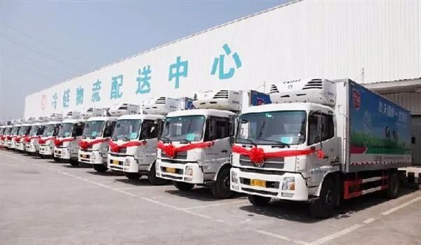 4万个仓储保鲜冷链物流设施 - 成都包乐包科技有限公司-水果保鲜包装