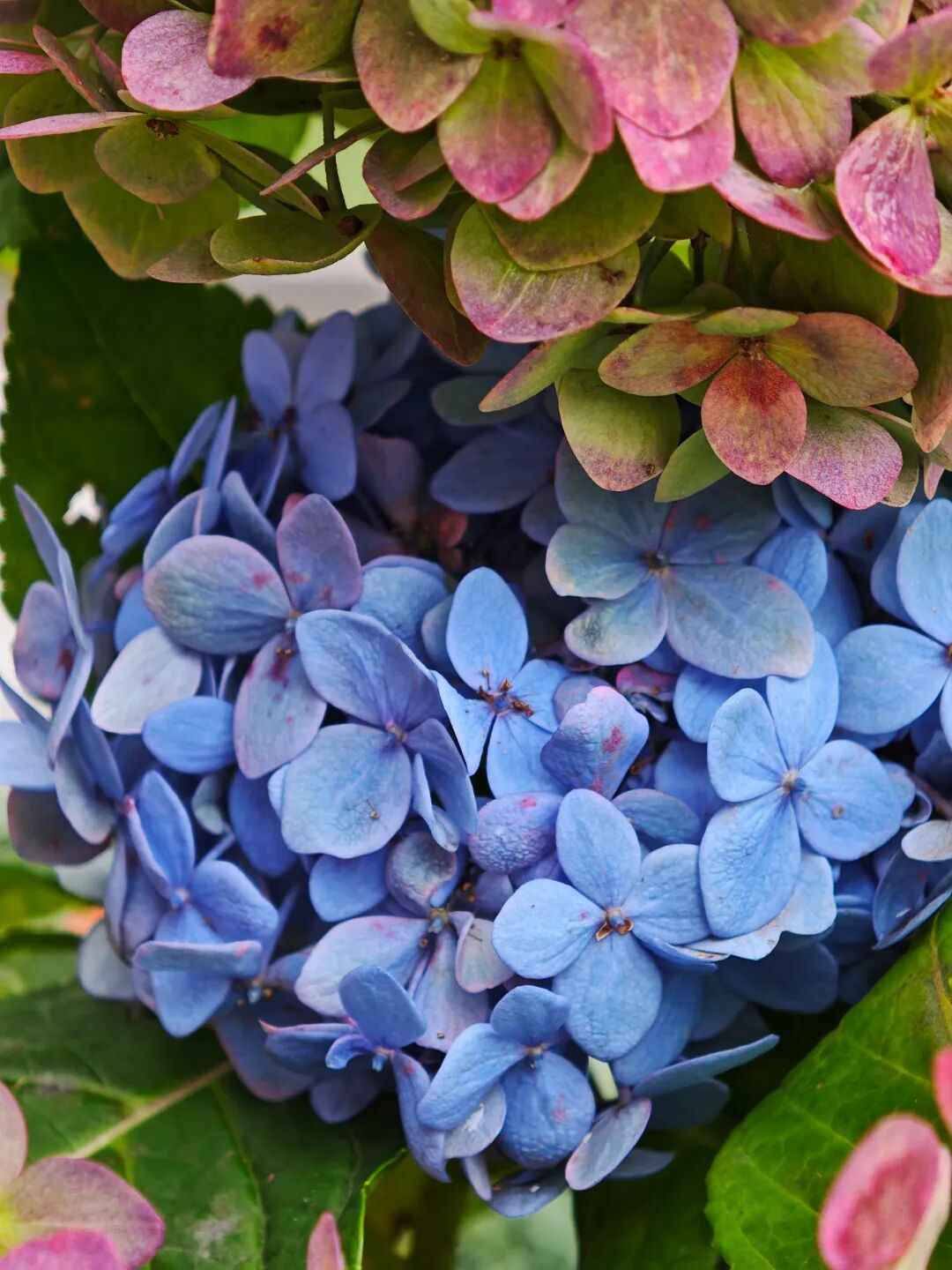 ���ݻ���ͬ��ѧУ