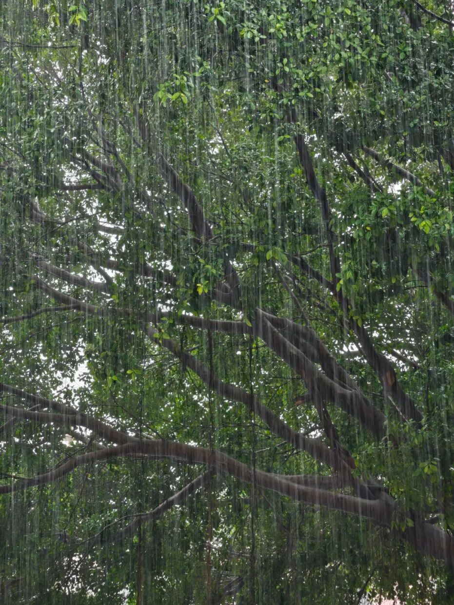 ���ݻ���ͬ��ѧУ