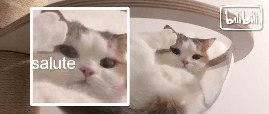 每天都在用的表情包，竟然是个UP主？