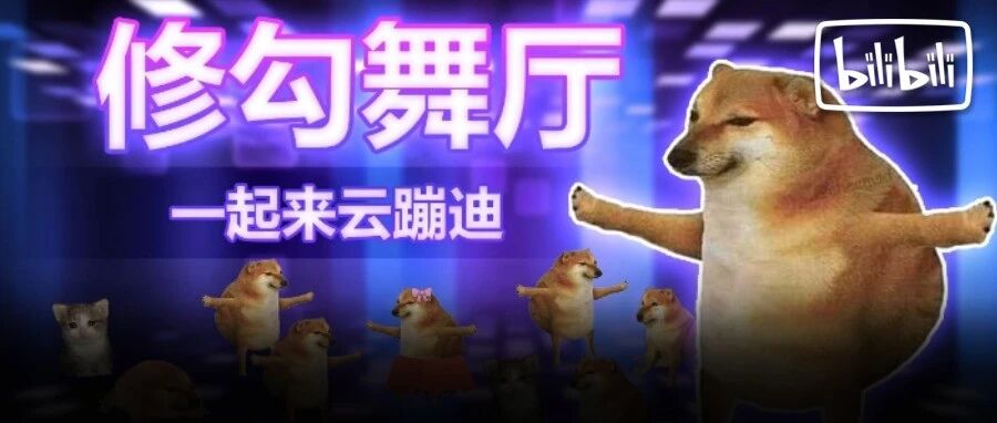 每天深夜，五万只小狗在这里蹦迪