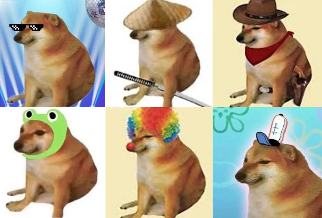 对这只又丧又可爱的小狗一见钟情,并火速把它捧成了表情包界的新星