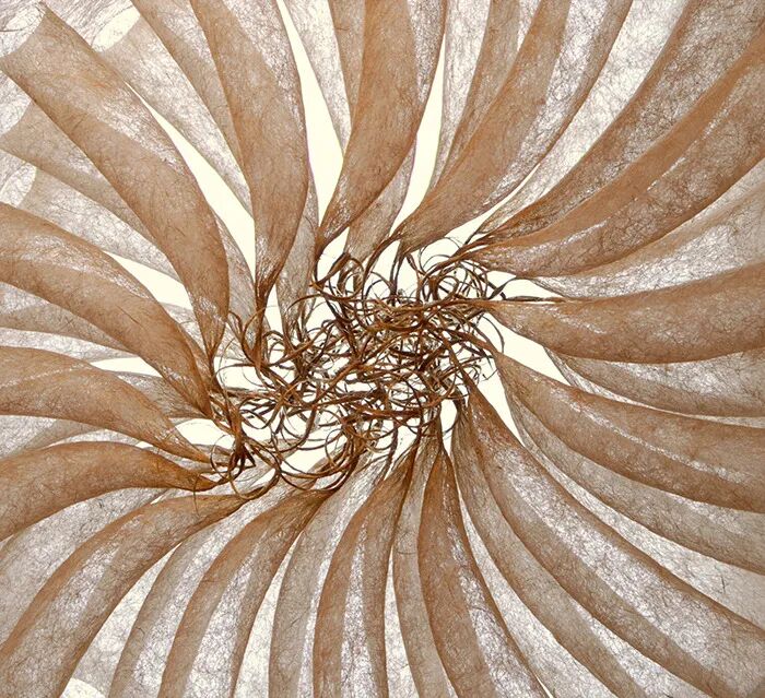 纤维艺术干啥啥行