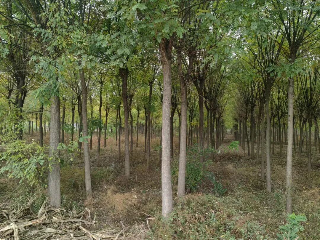 招工_招工最新招聘信息_招工信息