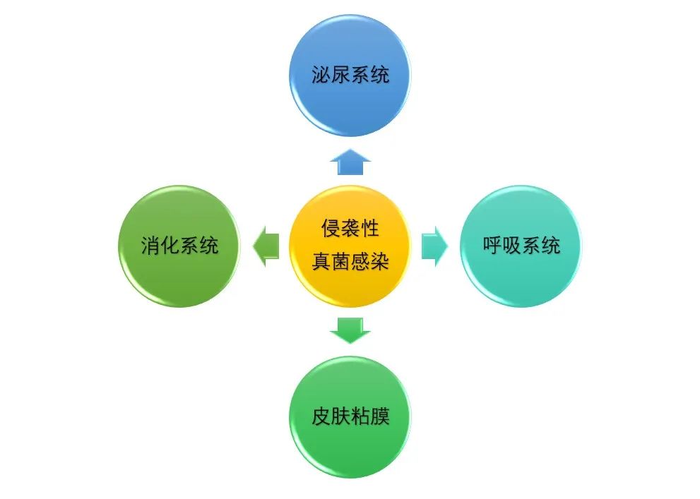 真菌检查是抽血吗,【健康科普】怎样早期诊断侵袭性真菌感染