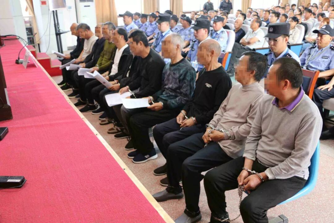 焕廷说法扫黑除恶寻衅滋事敲诈勒索强迫交易西峡一涉黑团伙11人受审