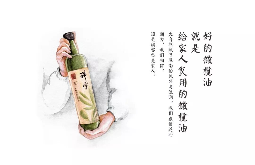 橄榄油哪个品牌好质量好_好的橄榄油品牌_好橄榄油质量品牌有哪些