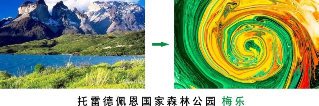 好橄榄油质量品牌有哪些_橄榄油哪个品牌好质量好_好的橄榄油品牌