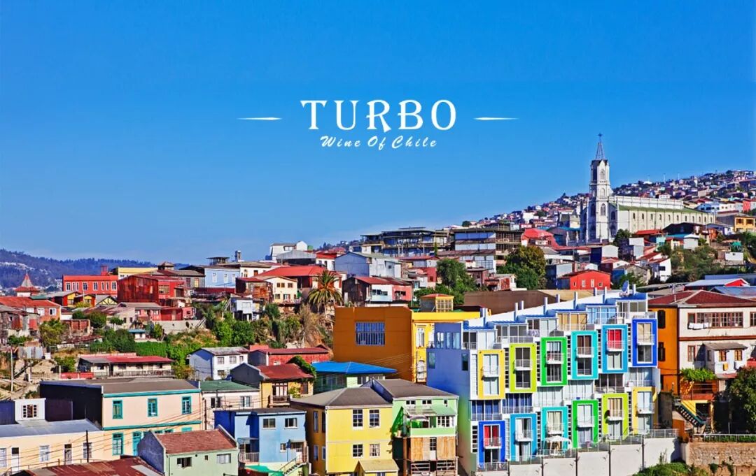 好的橄榄油品牌_好橄榄油质量品牌有哪些_橄榄油哪个品牌好质量好