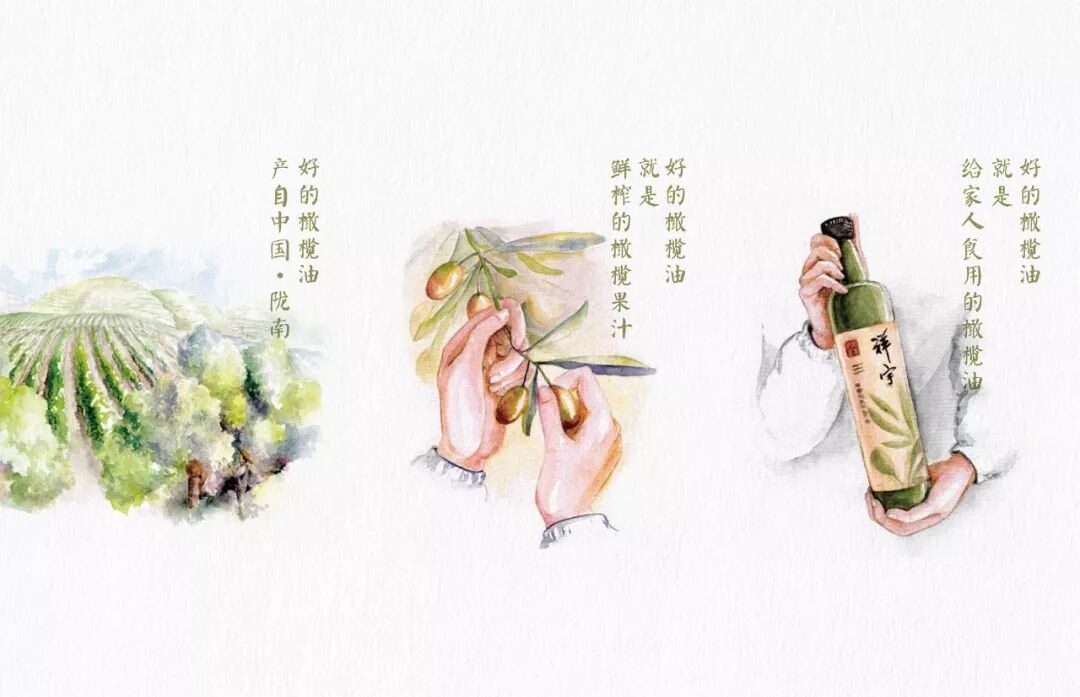 橄榄油哪个品牌好质量好 包联网 | 品牌好包装：祥宇，开创本土橄榄油的自信，寻圆小青柑便携旅行装