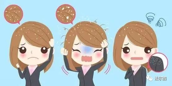 脂溢性头皮炎VS毛囊炎