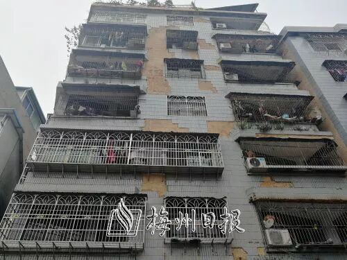 【资讯】过路如“历劫”！大埔多栋居民楼外墙瓷砖大面积脱落(图1)