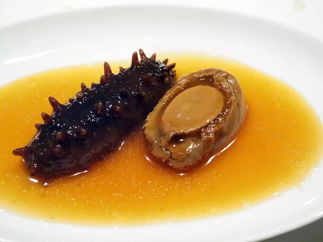 神奇的海参 你不知道的冷知识 四个小土豆 微信公众号文章阅读 Wemp