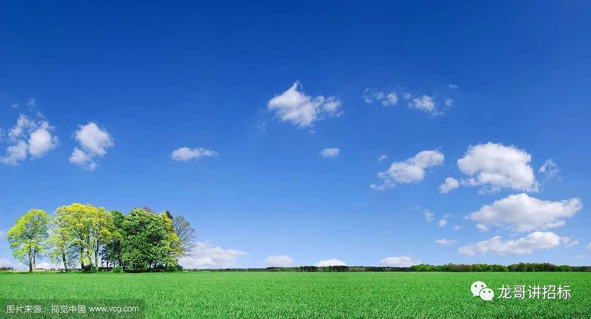 同一投标人存在多个违法行为的行政处罚思考|谈“招”论“标”-江苏鼎峻工程项目管理有限公司