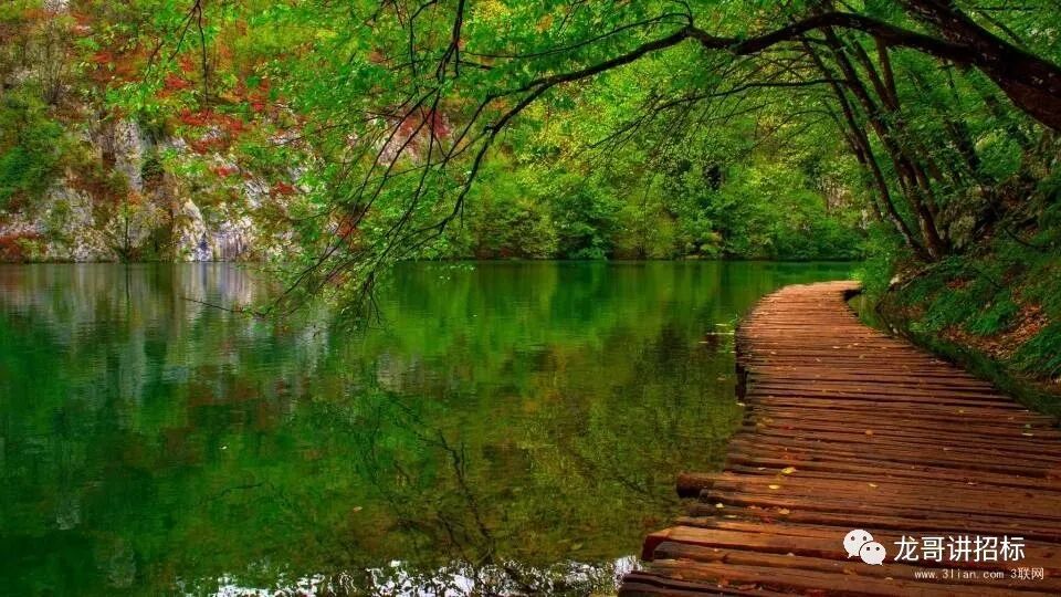 同一投标人存在多个违法行为的行政处罚思考|谈“招”论“标”-江苏鼎峻工程项目管理有限公司